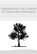 Lineamientos Espec�ficos