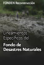 Lineamientos Espec�ficos